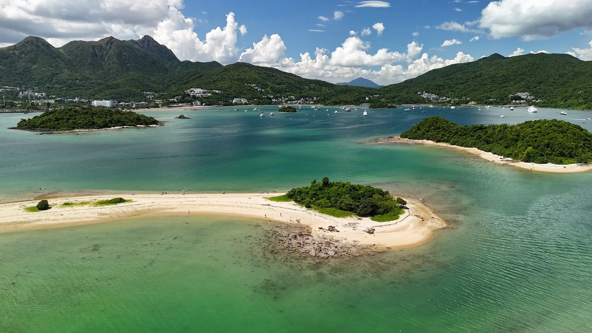 c0f98914-4e1a-4908-8589-5835a017476d